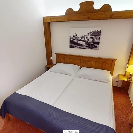 Selsky Dvur Hotel Vyskov