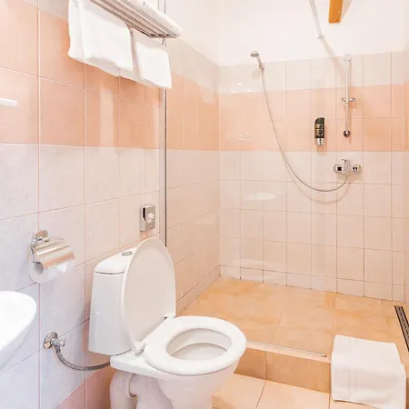 Hotel Selsky Dvur 3*