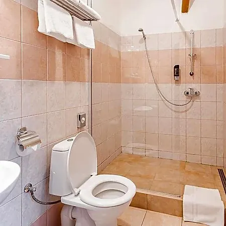 Selsky Dvur Hotel Vyskov
